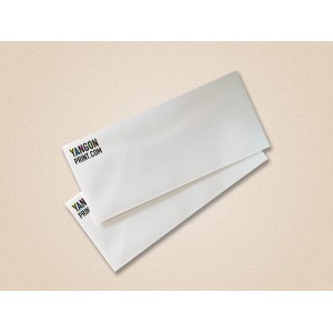 DL Envelope (9 x 4.2 in)